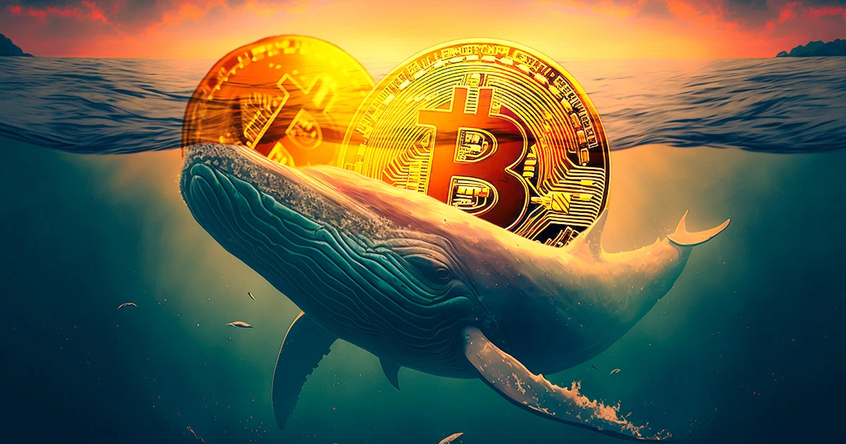 Bitcoin Surges Past $102,000 as Whale Activity Sparks Fresh Market Optimism