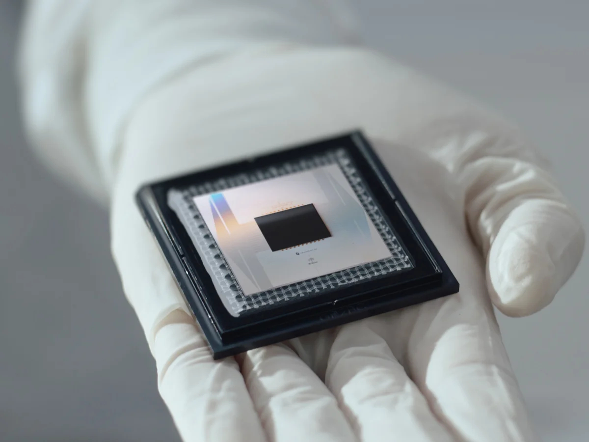 Google’s ‘Quantum Echoes’ Sparks Fresh Q-Day Debate — Are Encryption Walls Crumbling?