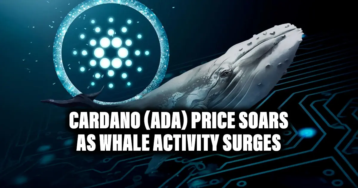 New Pay-Fi Revolution: NexaPay Poised to Overtake Cardano and Tron as Whale Activity Soars