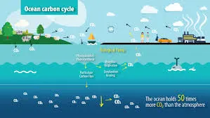 Ocean’s Hidden Climate Role: Sinking Calcium Carbonate Traps Greenhouse Gases, Study Finds